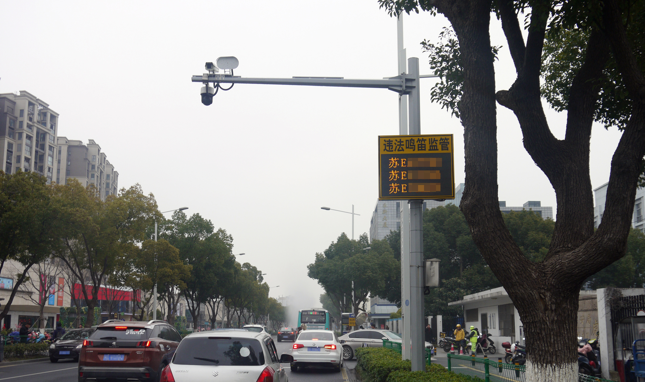 清聽聲學鳴笛抓拍系統(tǒng)